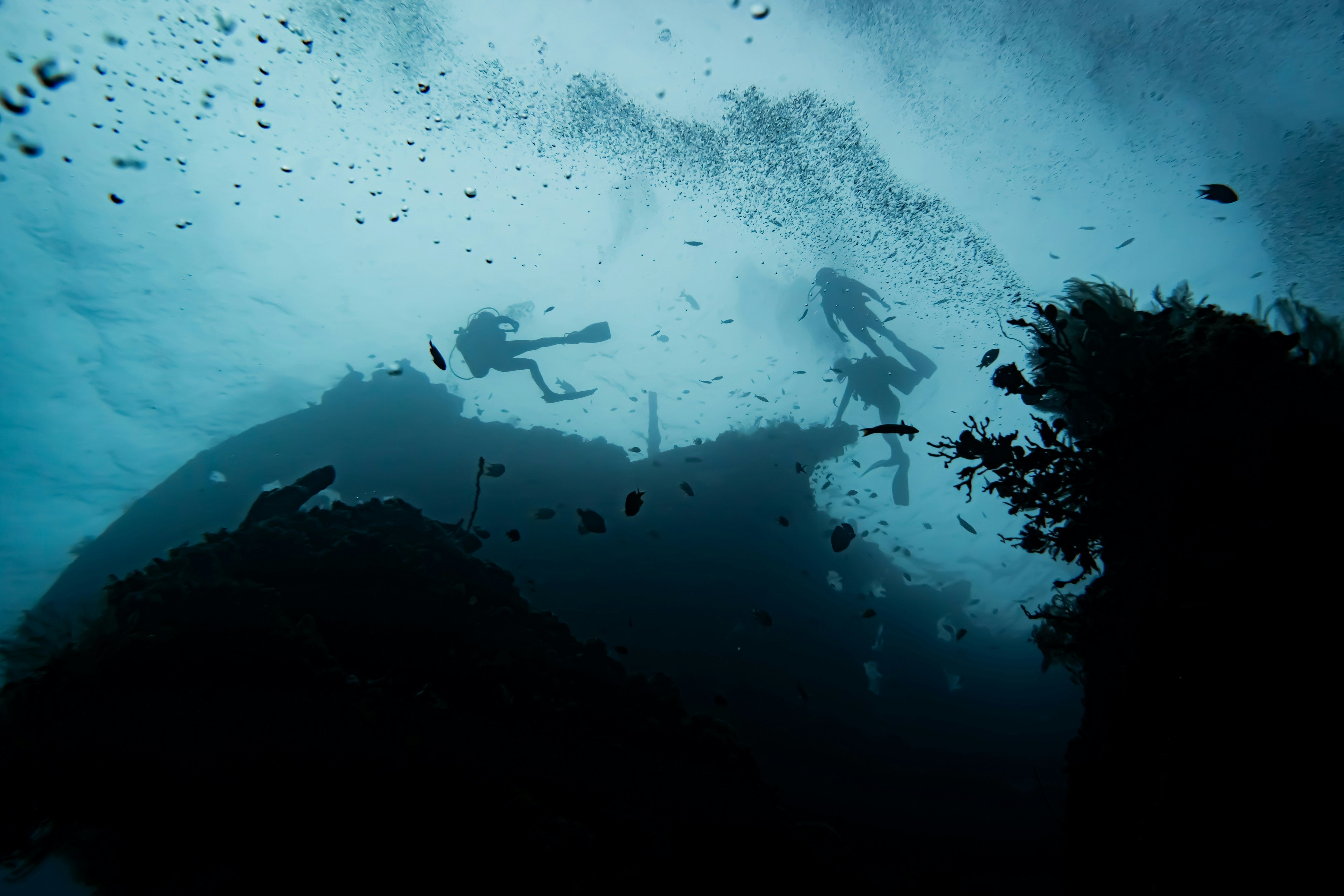 Best Wreck Diving Sites