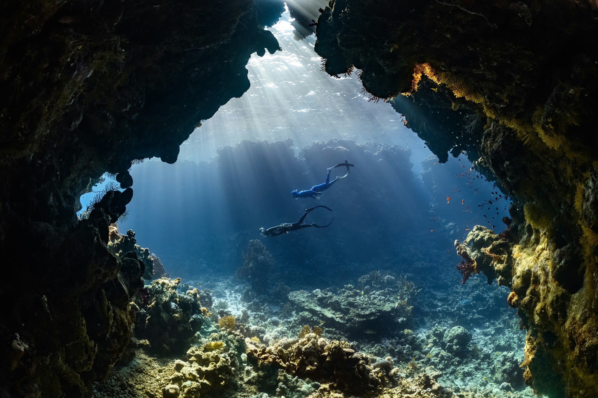 Scuba Diving vs Freediving: Which Underwater Adventure Is Right for You?