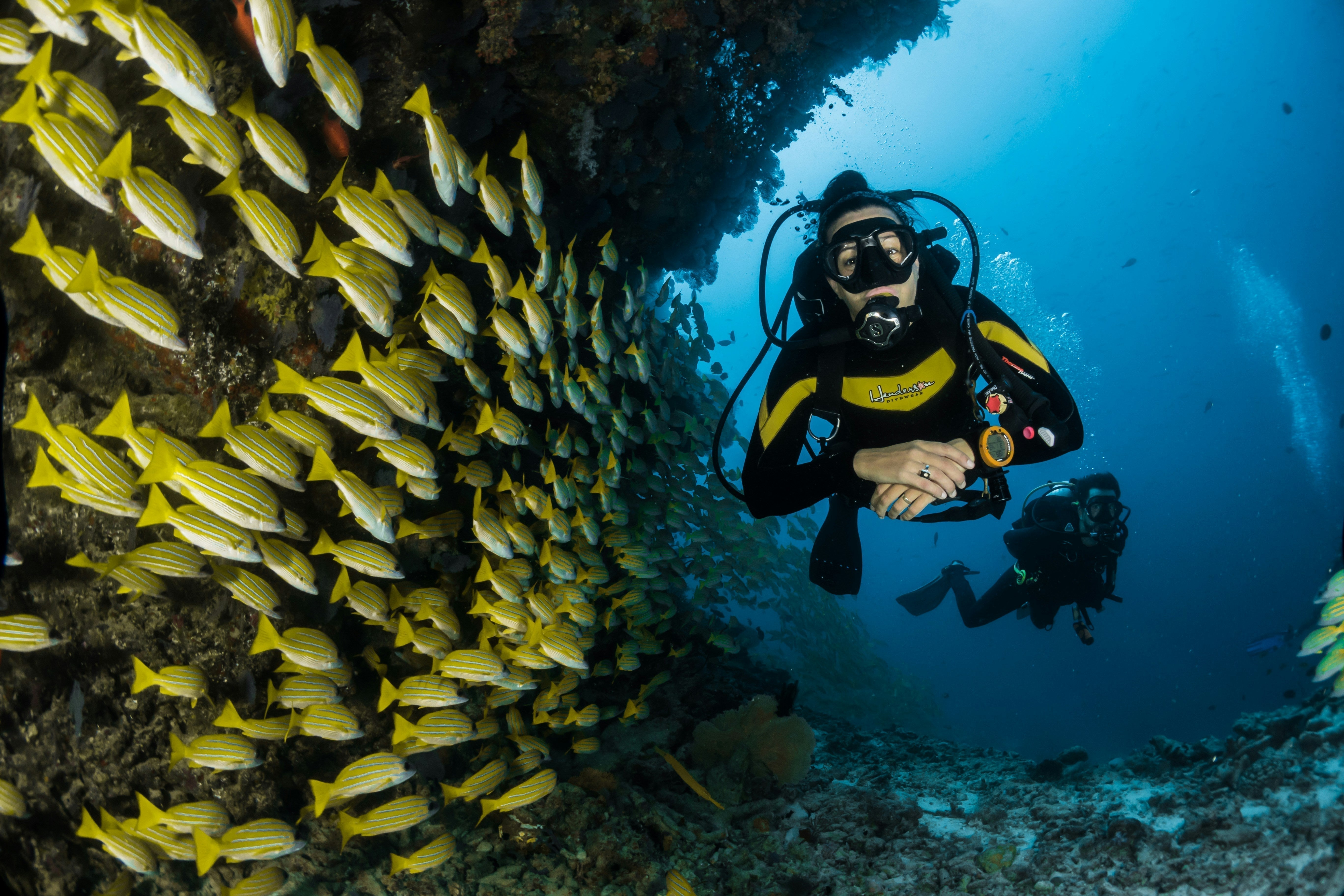 A close-up diagram showing a scuba diver wearing a modern regulator mouthpiece, mask, and a fully equipped BCD vest