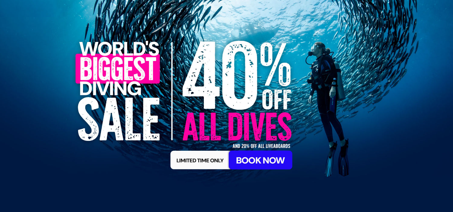 Dive Bookings