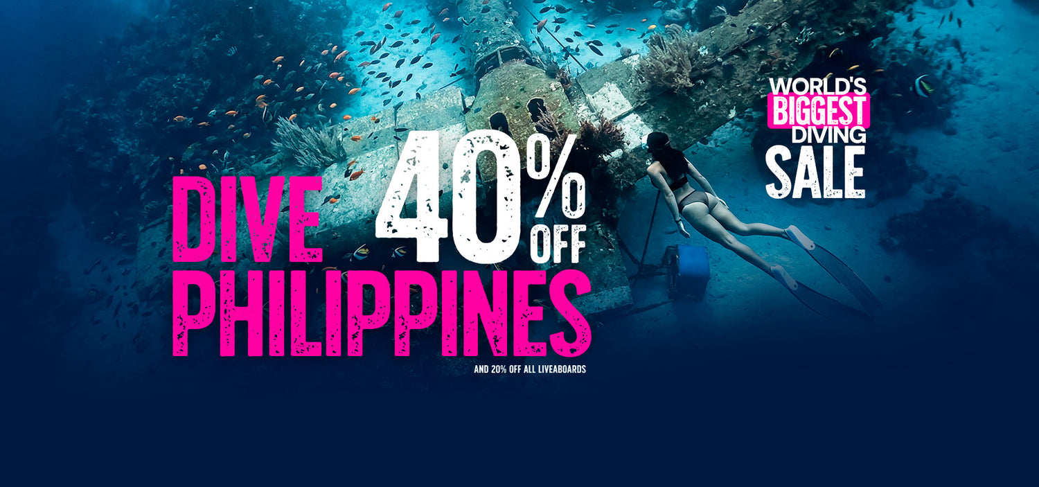 Dive Bookings