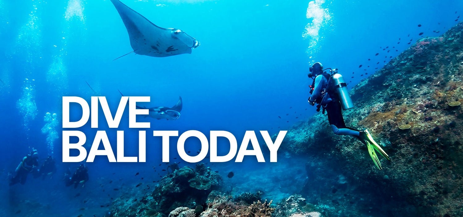 Dive Bookings