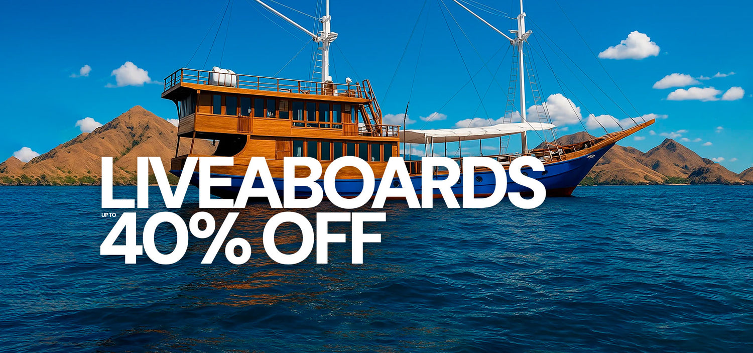 Dive Bookings