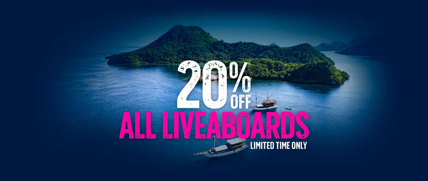 Dive Bookings
