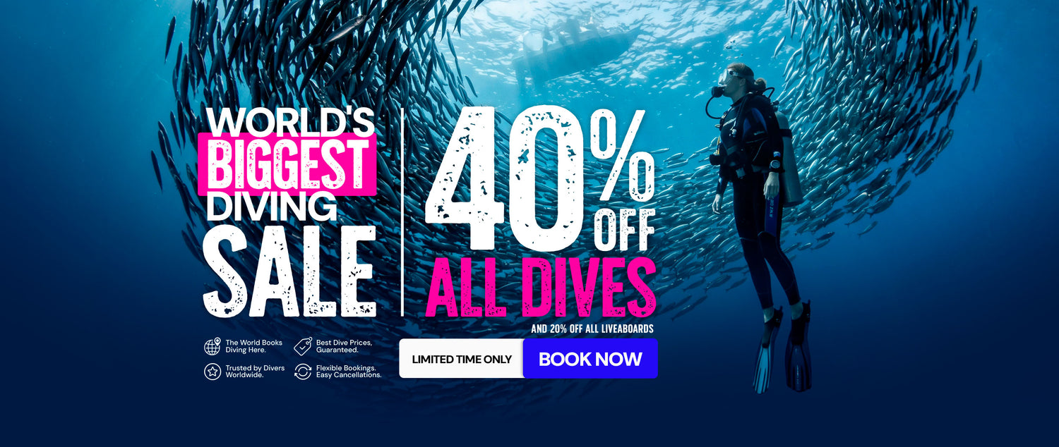 Dive Bookings
