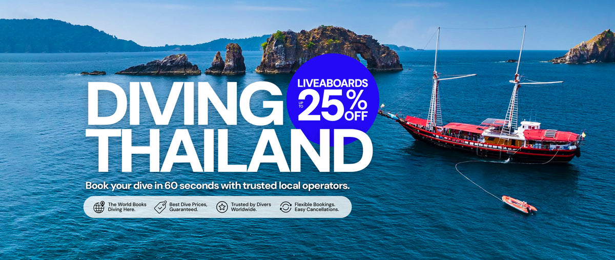 Dive Bookings