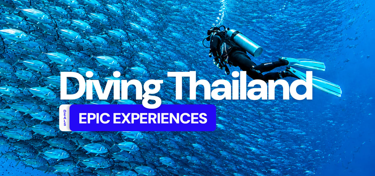 Dive Bookings