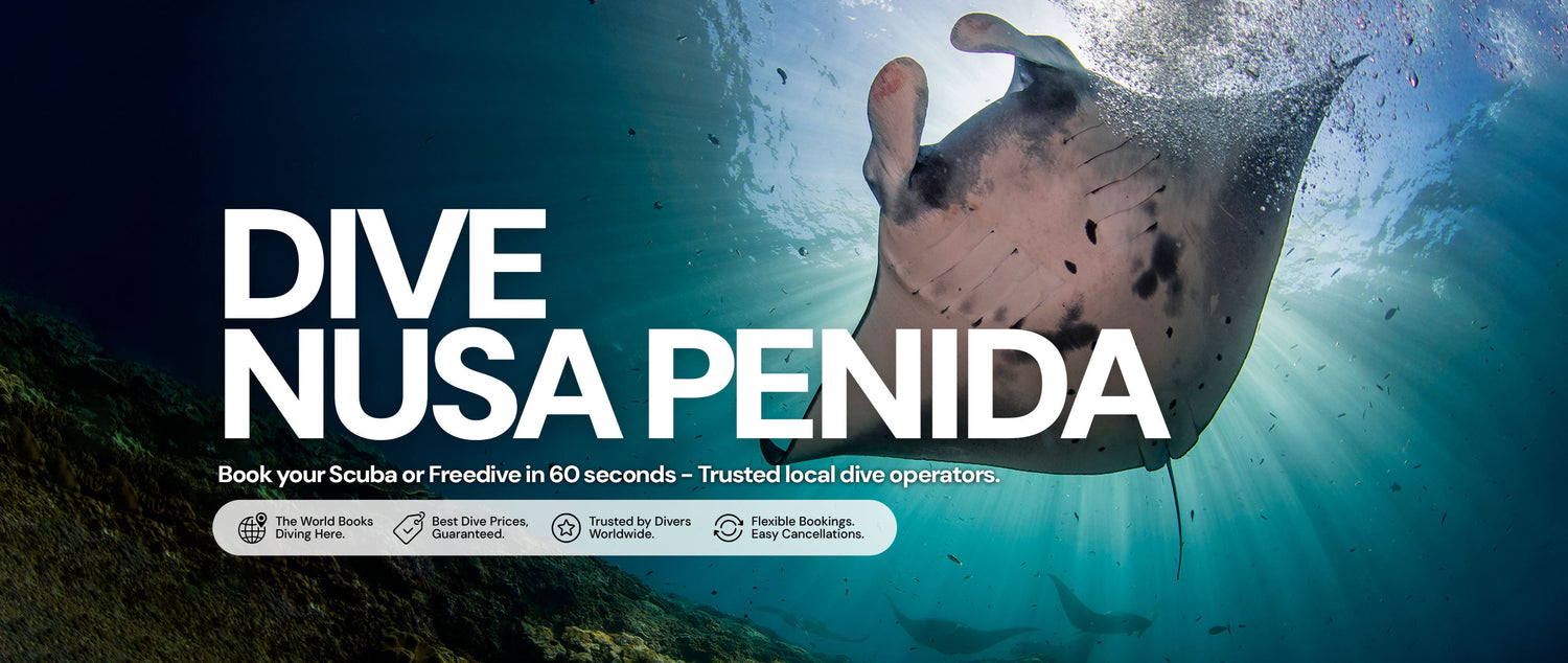 Dive Bookings