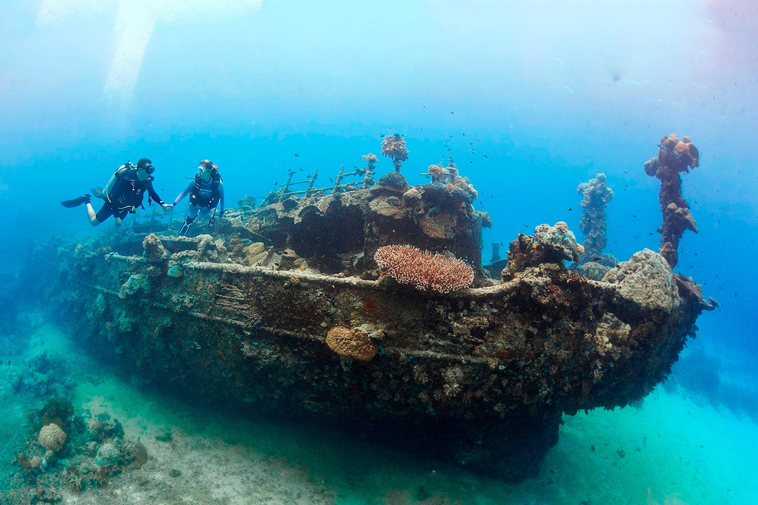 Best Scuba Diving in the Philippines: Complete Travel Guide, Dive Sites, Costs & Tips