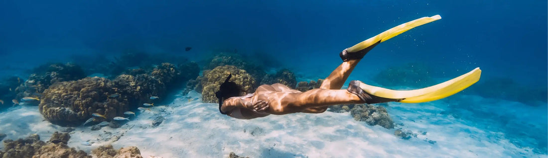 Reasons to Freedive Bali in 2026