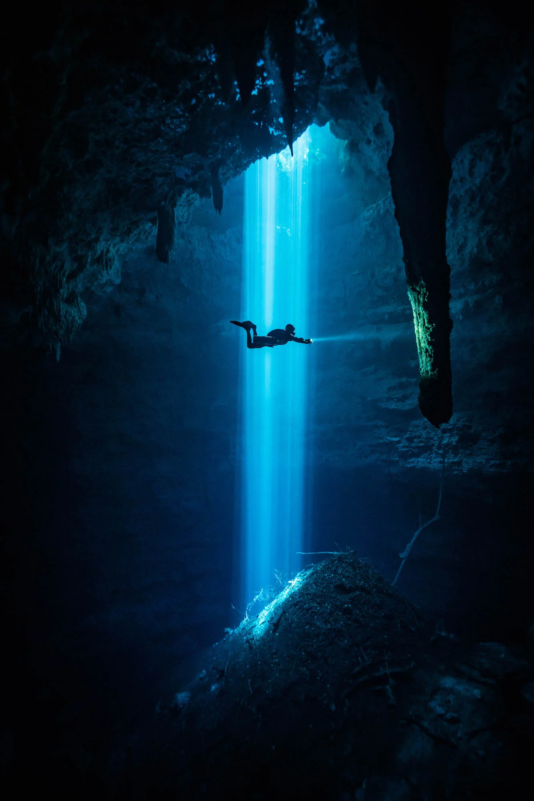 Best Scuba Diving in Mexico: Cozumel, Cenotes, Whale Sharks and Top Dive Sites Guide