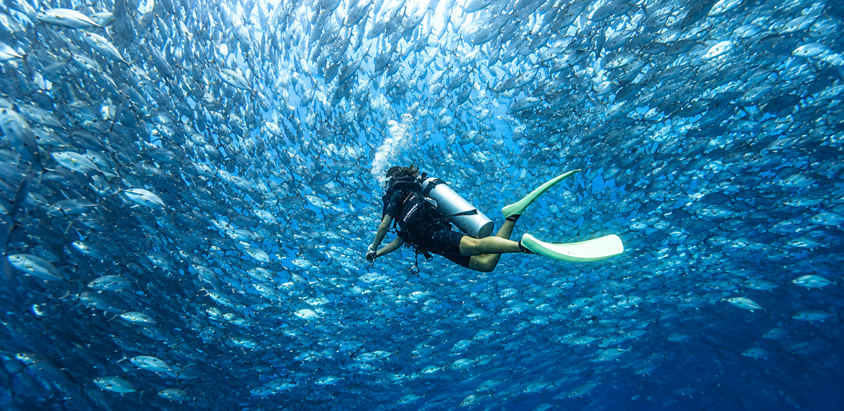 Best Places to Scuba Dive in Thailand for Beginners