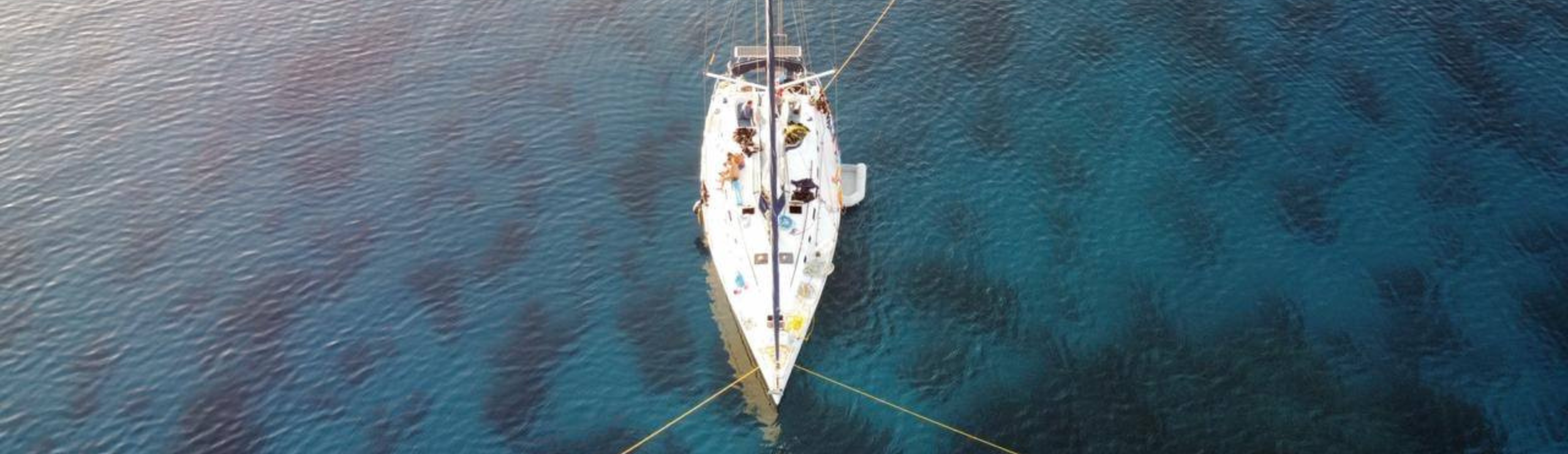 8 Reasons a Red Sea Liveaboard is the Ultimate Adventure