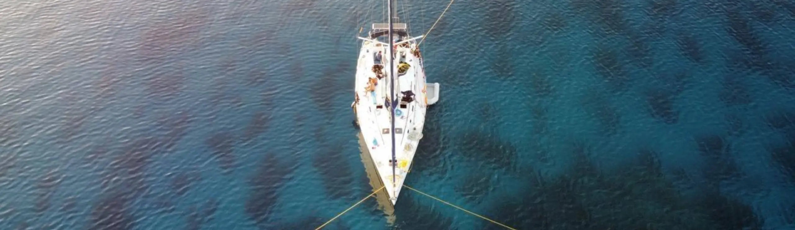 8 Reasons a Red Sea Liveaboard is the Ultimate Adventure