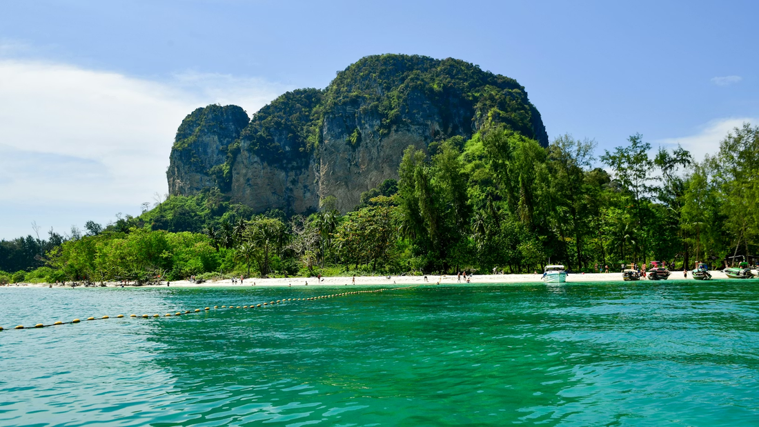 The Best Scuba Diving Destinations for Beginners in 2026