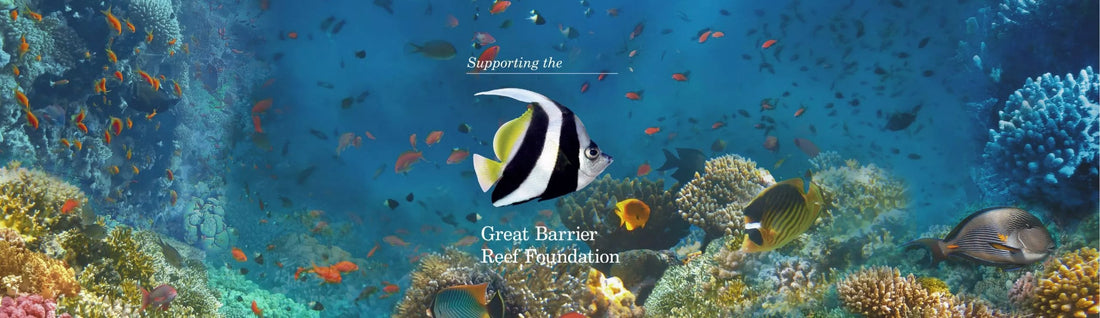 Coral Reefs Explained