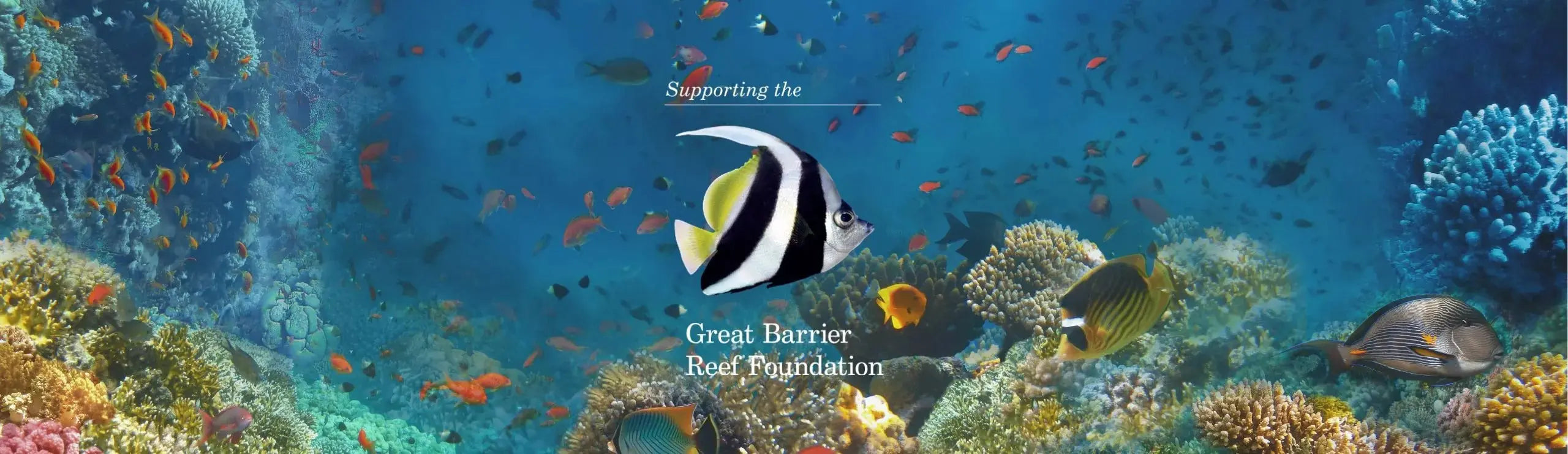 Coral Reefs Explained