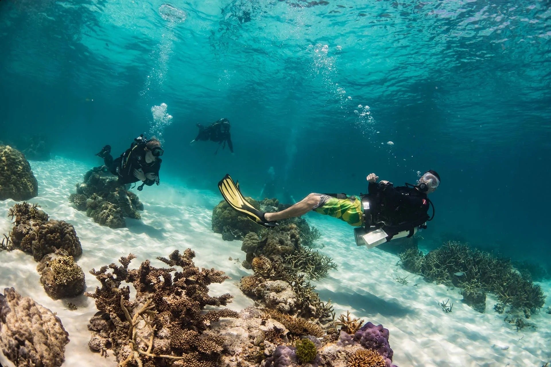 Bali Scuba Diving Guide: Best Dive Sites, Season & Travel Tips