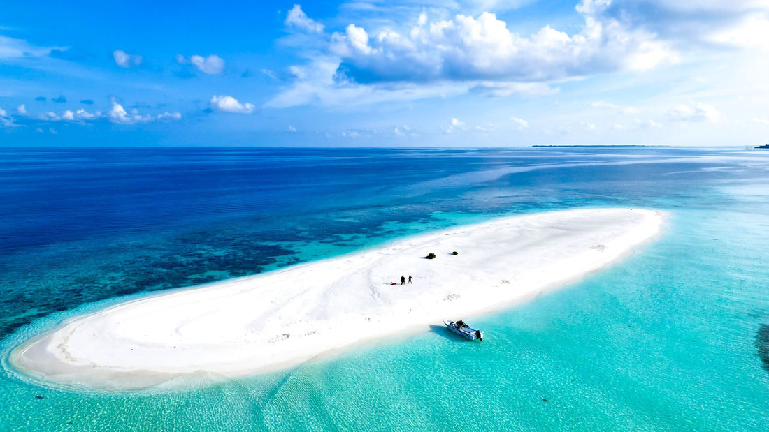 Maldives Scuba Diving Guide: Best Dive Sites and Season