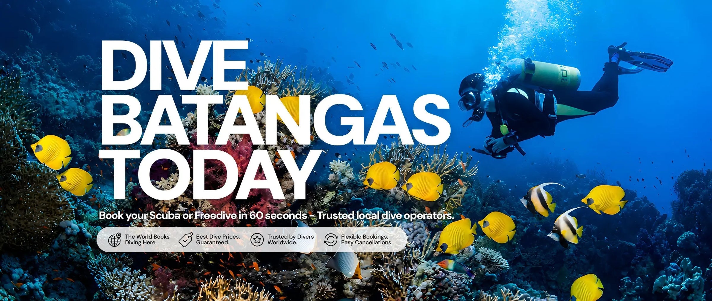 Dive Batangas Philippines