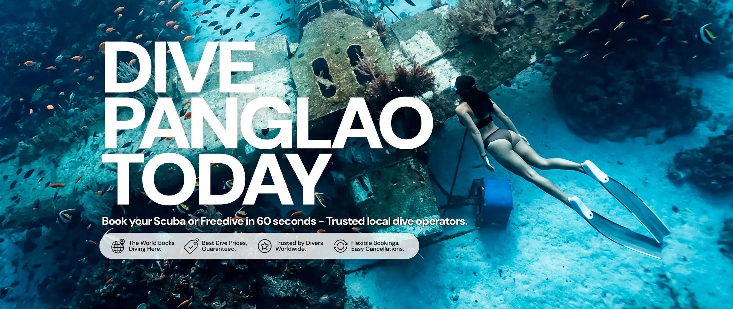 Dive Panglao Bohol Philippines