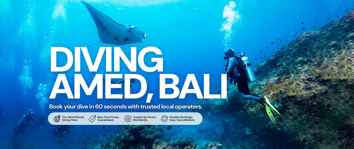 Diving Amed Bali Indonesia