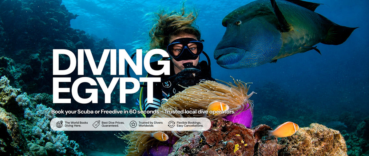 Diving Egypt