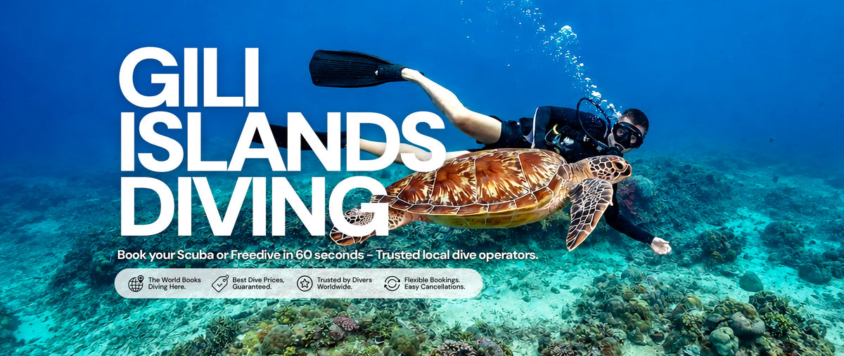 Diving Gili Islands