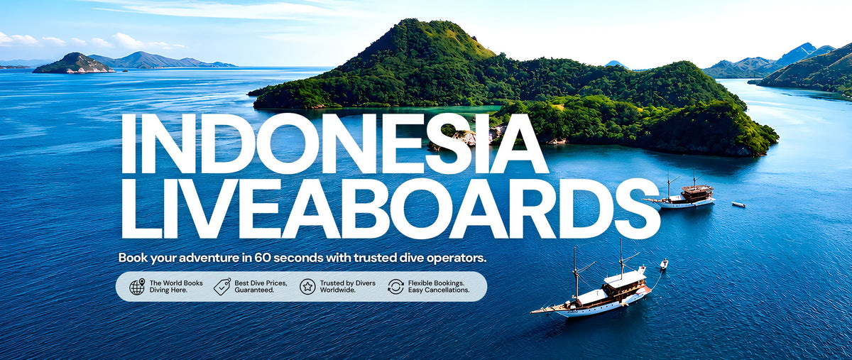 Indonesia Liveaboards