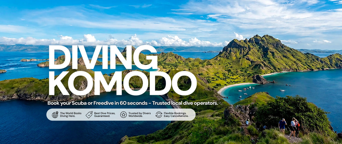 Diving Komodo Indonesia