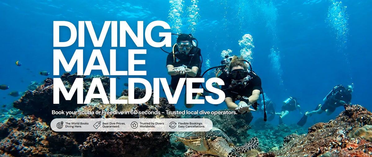 Diving Male Maldives