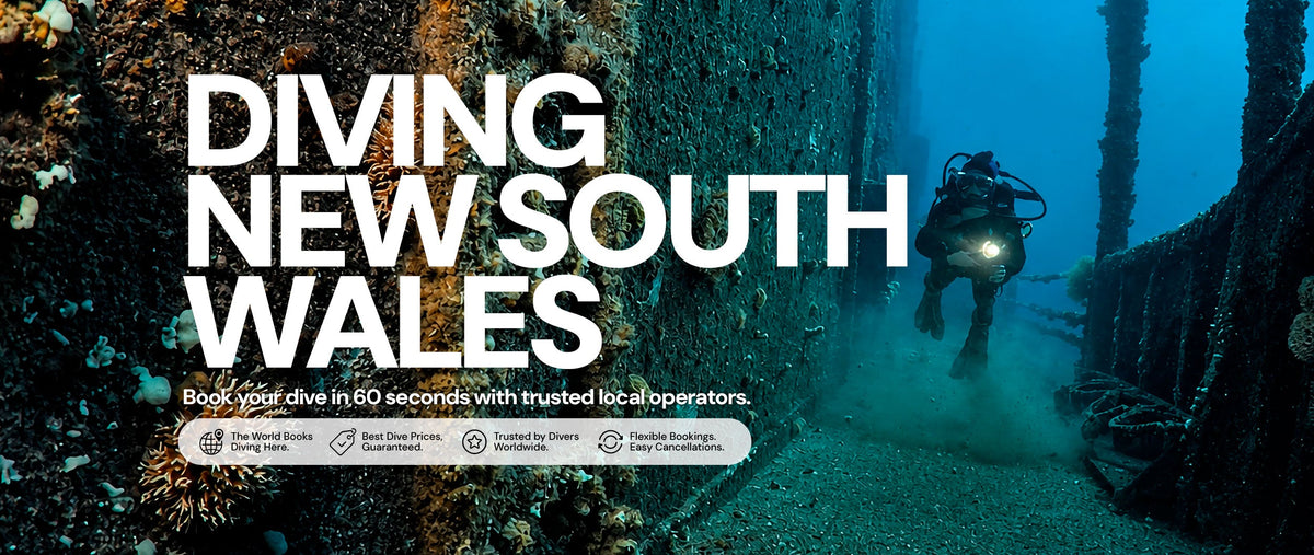 Diving New South Wales