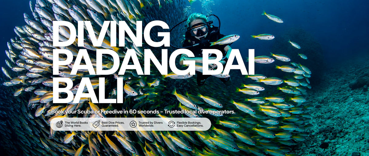 Diving Padang Bai Bali Indonesia