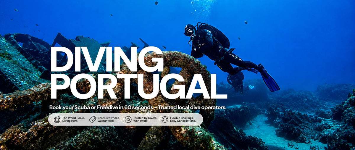 Diving Portugal