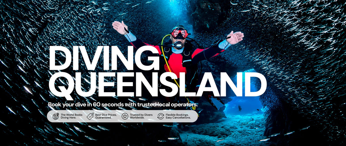 Diving Queensland Australia