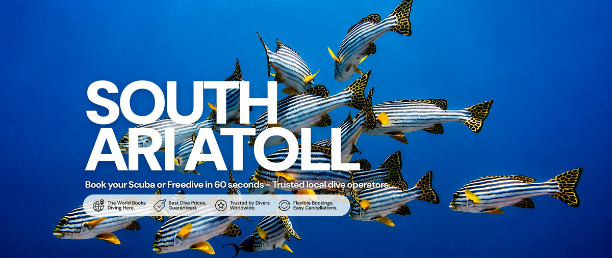 Diving South Ari Atoll