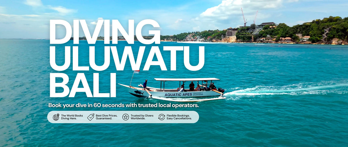Diving Uluwatu Bali