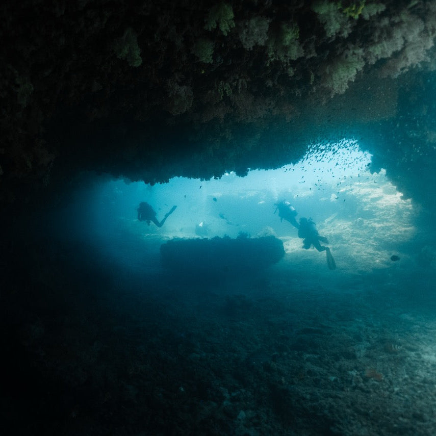 Shark Bay Fun Diving