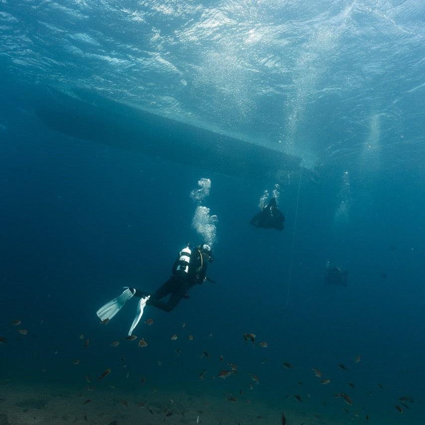 Shark Bay Fun Diving