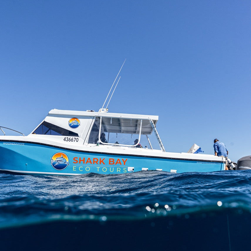 Shark Bay Fun Diving