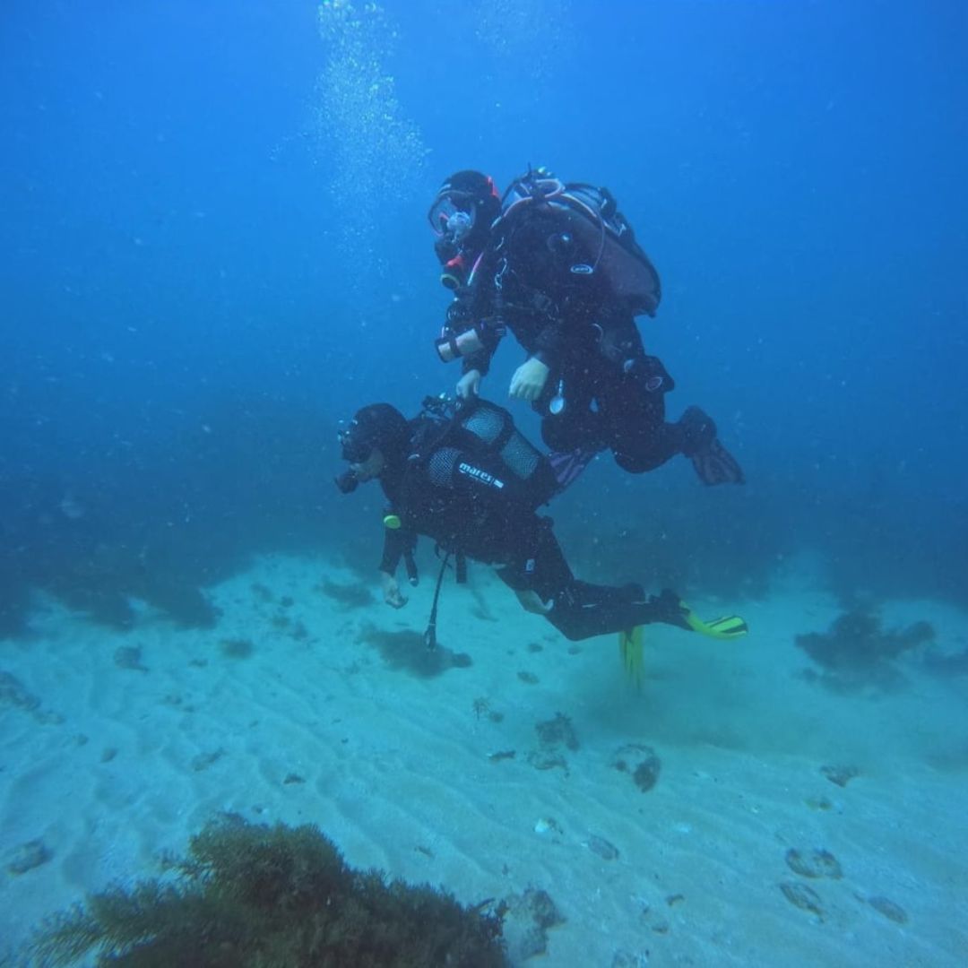 Try Scuba Diving in Sesimbra