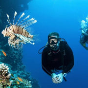 Red Sea Scuba Diving Liveaboard