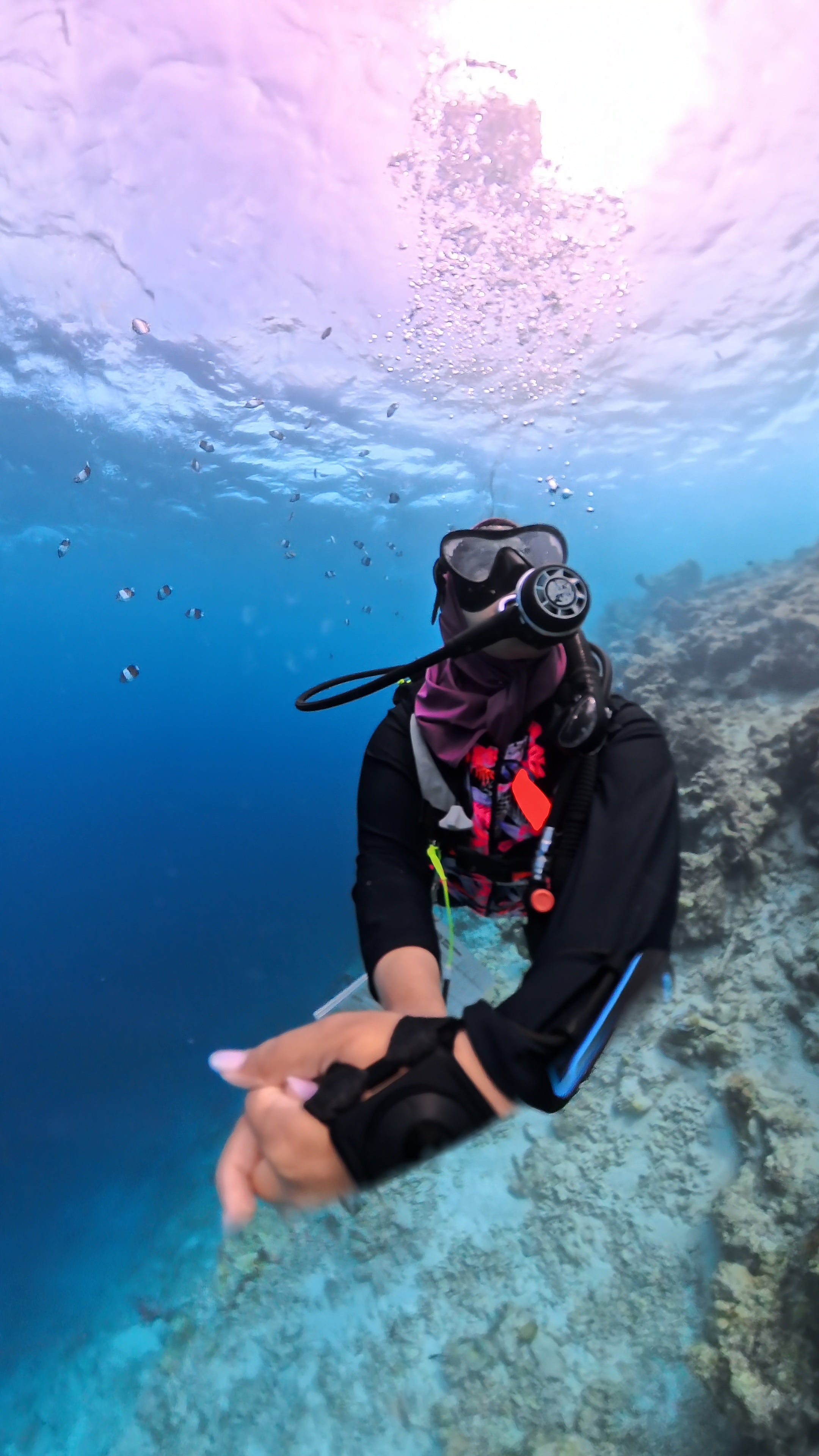 PADI Open Water Diver Course