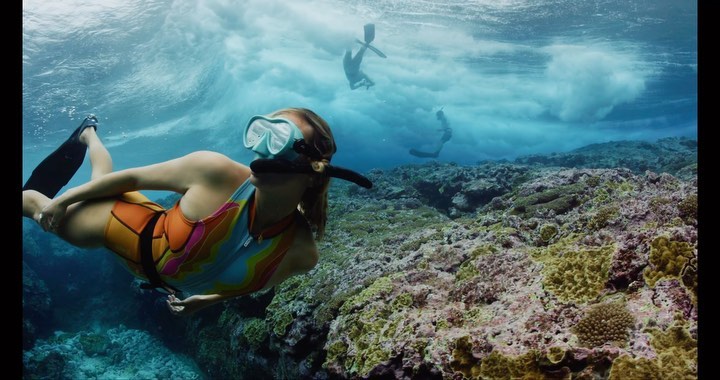 Komodo Freediving & Liveaboard Retreat