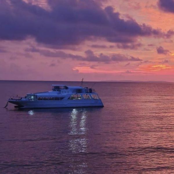 Anilao Discover Scuba Diving