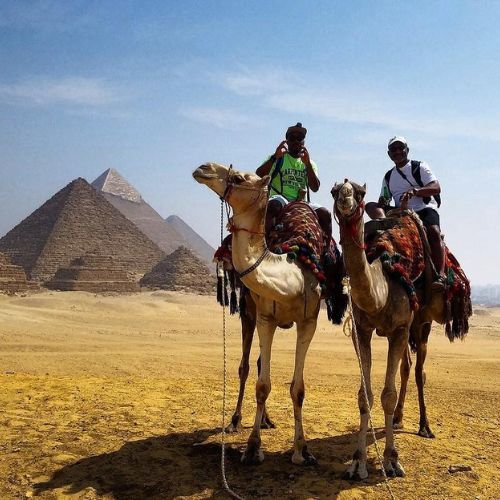 Red Sea Scuba Diving Liveaboard