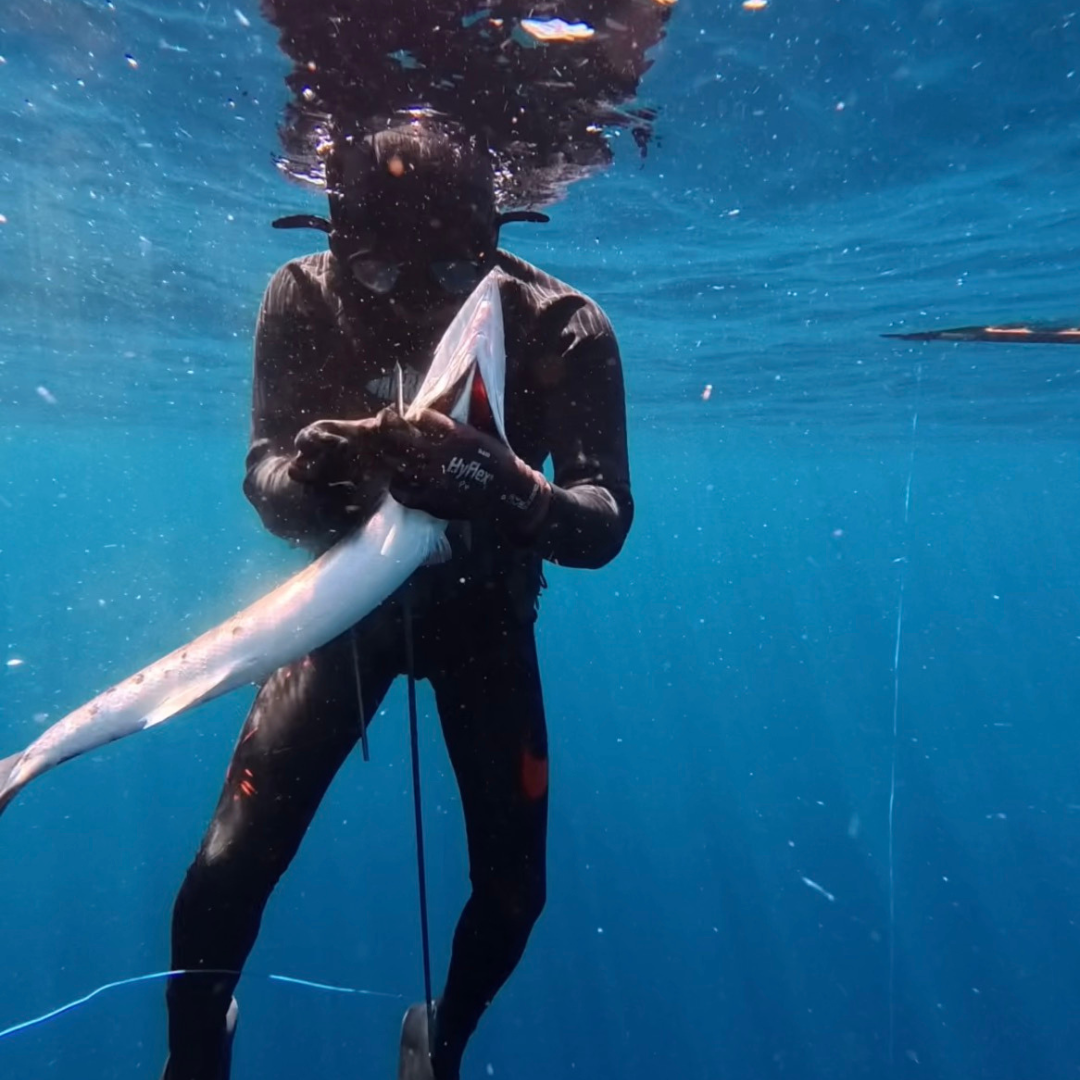 North Bali Spearfishing Trip