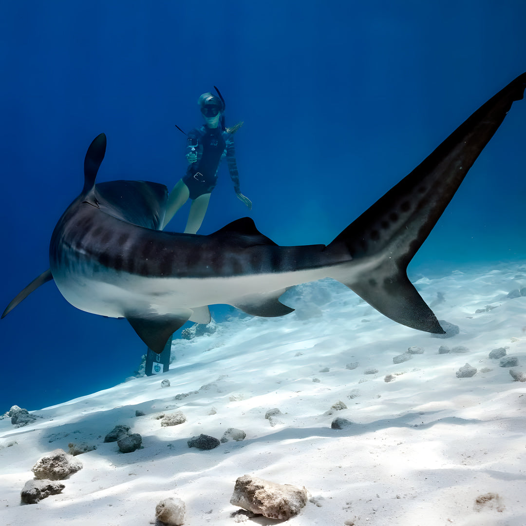 South Ari Atoll PADI Advanced Open Water Diver