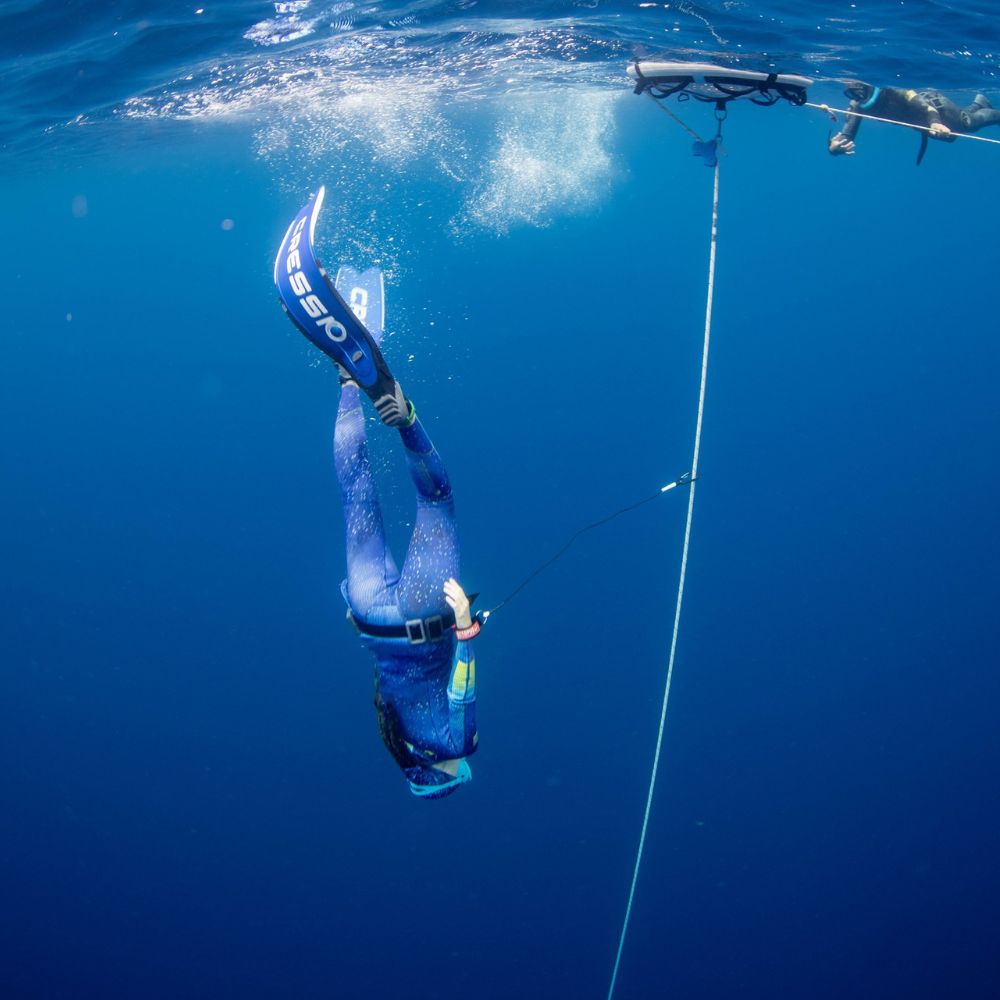Molchanovs Wave 1 Freediving Course