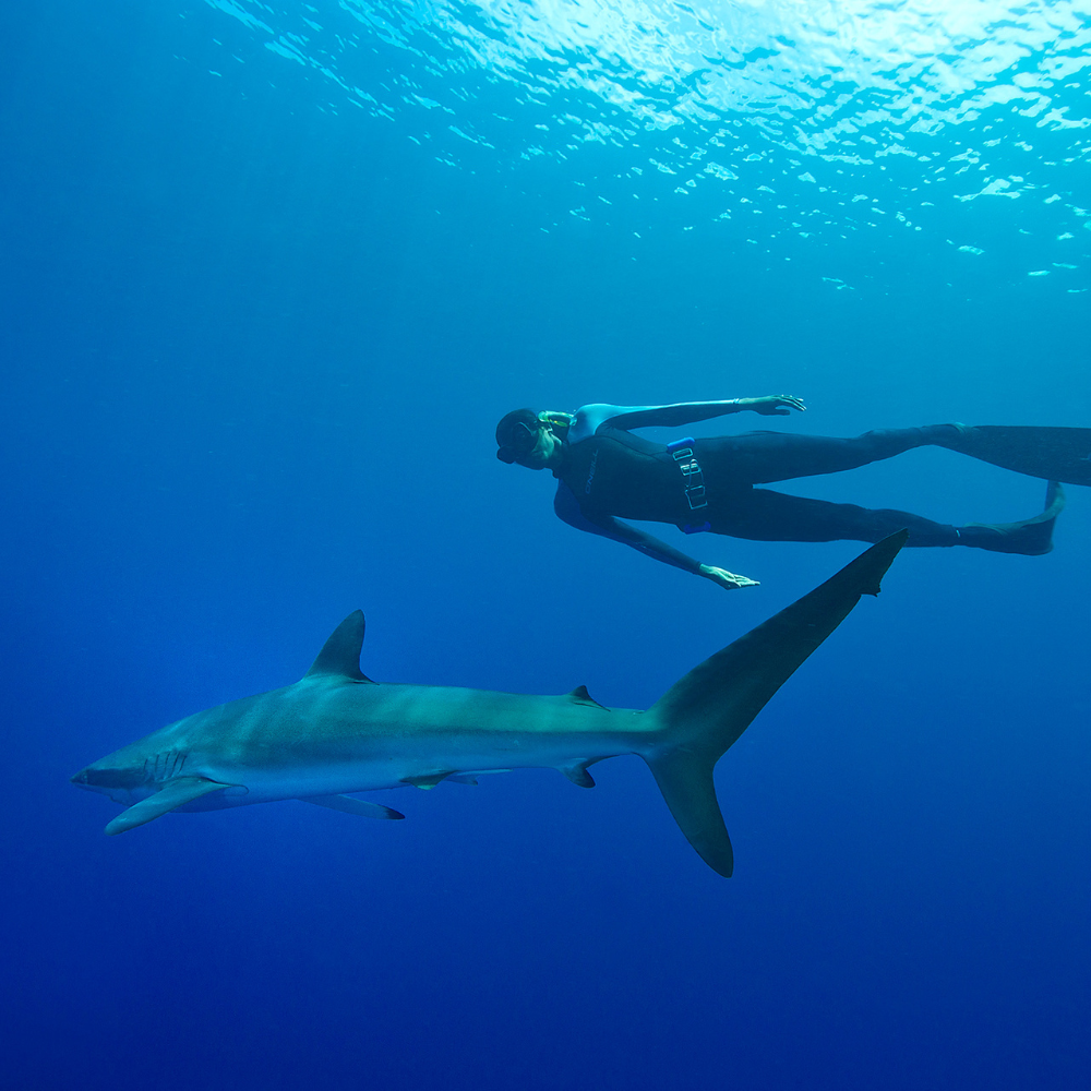 Beginner Freediving in Fiji
